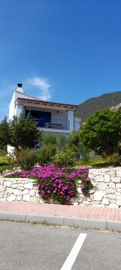 Casa Azzurra Daire Cala Gonone Dış mekan fotoğraf